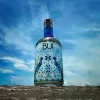 BUI Artesanal Joven Mezcal 0,7L - Tequila