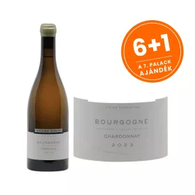 Bruno Colin Bourgogne Chardonnay 2023 (0,75L 13%)