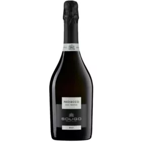 Soligo Prosecco DOC Treviso Brut 0,75L