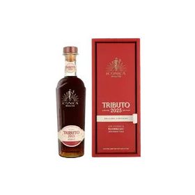 Havana Club Tributo 2025 Rum (40% 0,7L)