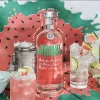 Absolut Watermelon Vodka 0,7L