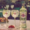 Martini Bianco 1L - Vermut