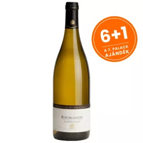 Alain Chavy Bourgogne Blanc 2023 (0,75L 13%)