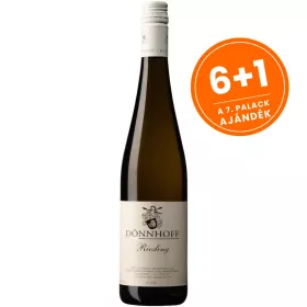 Dönnhoff Riesling 2025 (0,75L 13%)